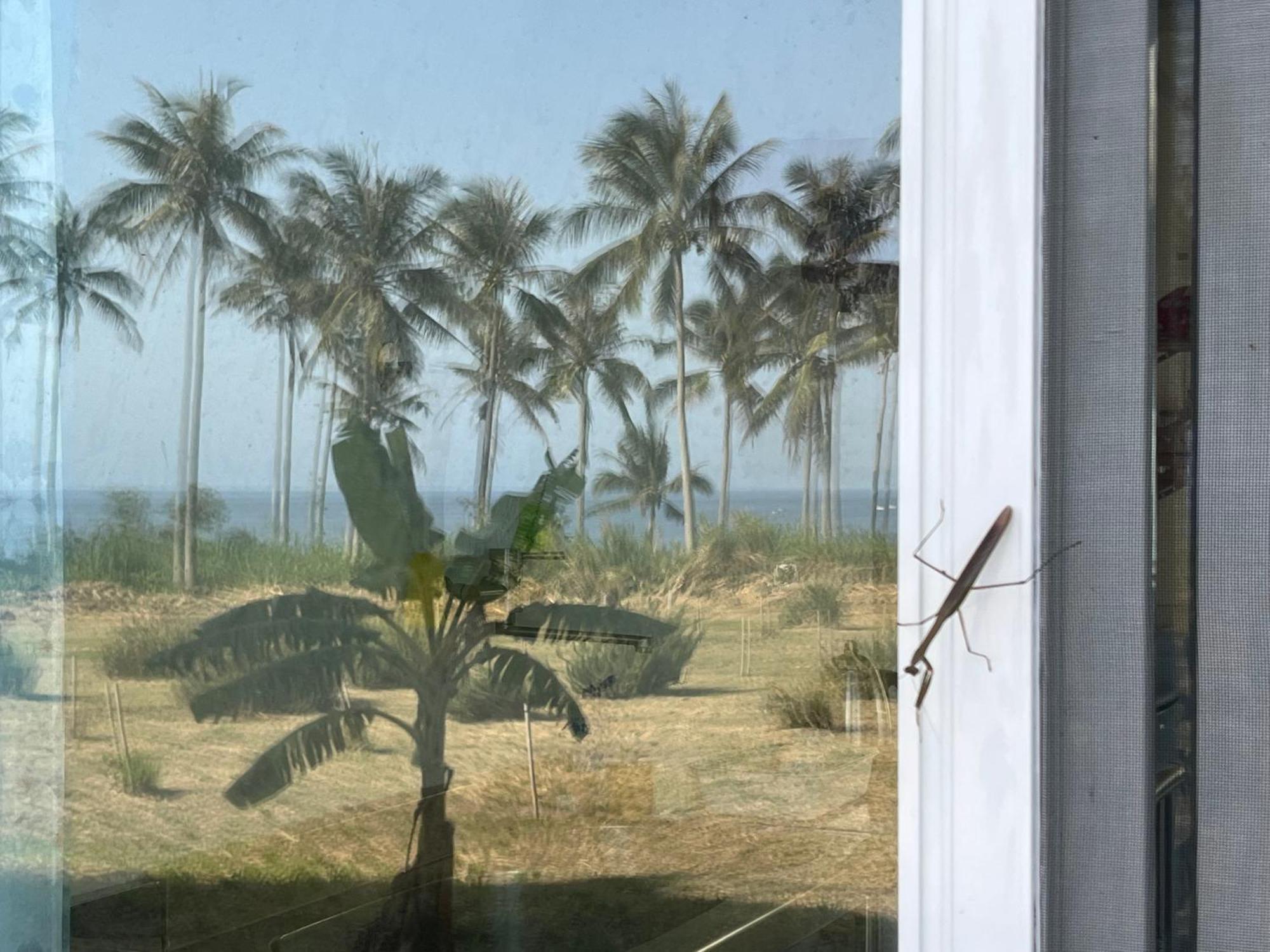 春夏秋冬海景民宿ocean View Motel Chenggong Luaran gambar